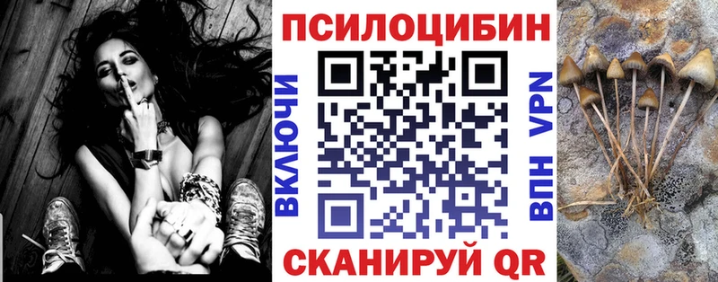 Галлюциногенные грибы Psilocybine cubensis  купить наркотик  blacksprut зеркало  Осташков 